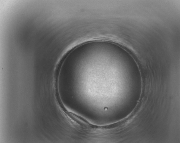 X0000071771506200607150015