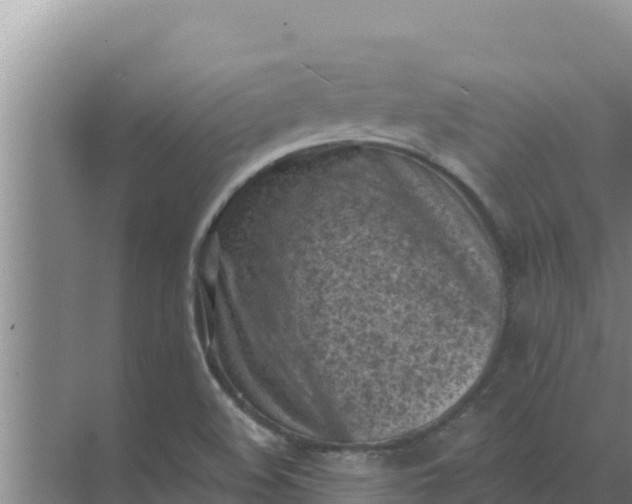 X0000071771508200607150015