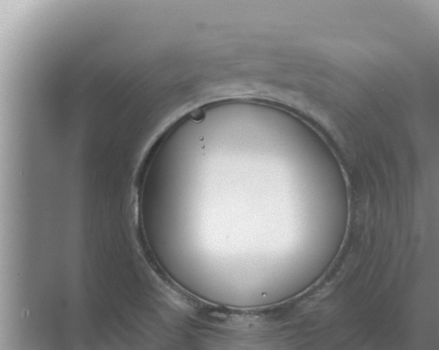 X0000071771509200607150015