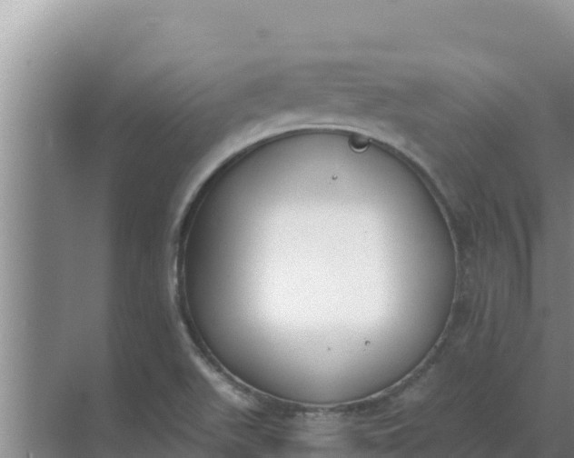 X0000071771511200607150015