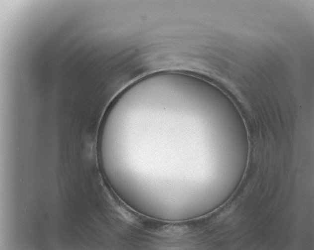 X0000071771513200607150015