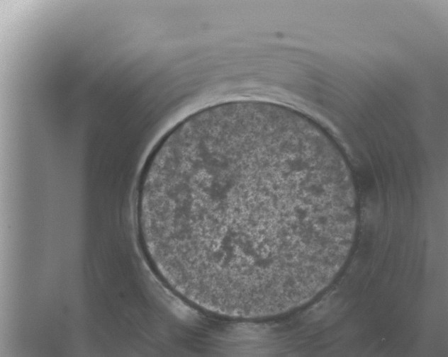 X0000071771514200607150015