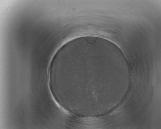 X0000071771515200607150015