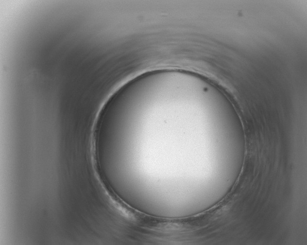 X0000071771517200607150015