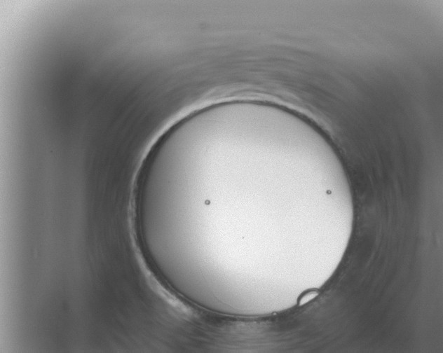 X0000071771518200607150015