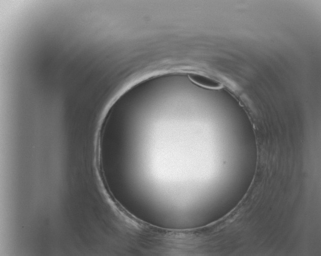 X0000071771520200607150015