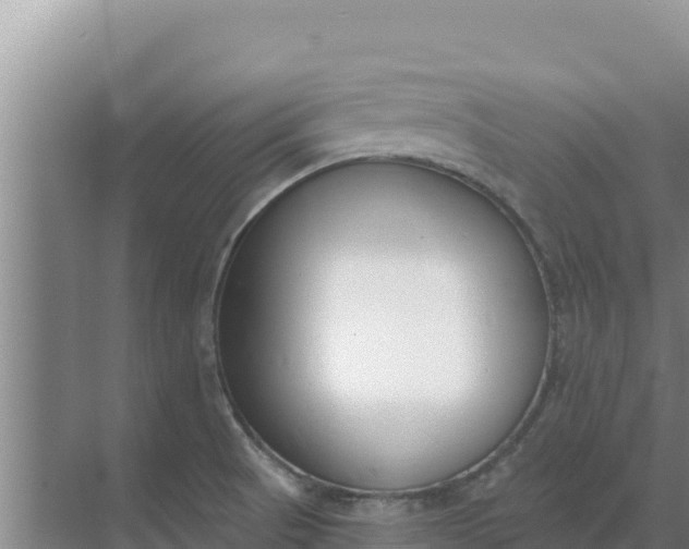 X0000071771521200607150015