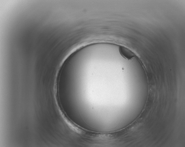 X0000071771523200607150015