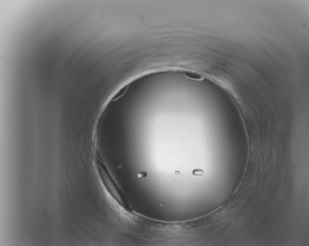 X0000071771524200607150015