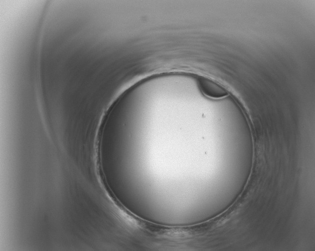 X0000071771525200607150015