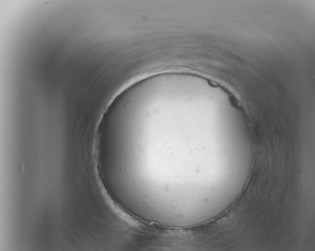 X0000071771526200607150015