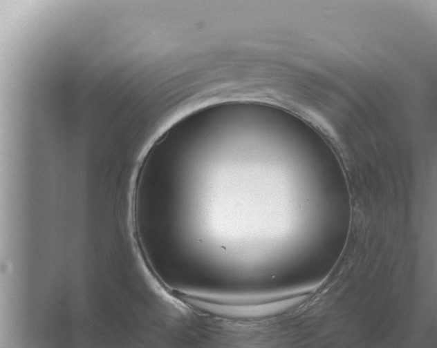 X0000071771528200607150015