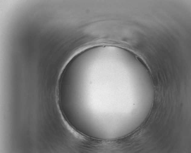 X0000071771531200607150015