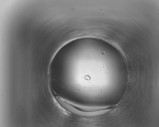 X0000071771532200607150015