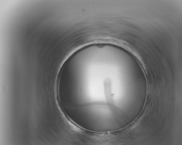 X0000071771533200607150015