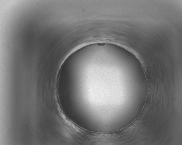 X0000071771534200607150015