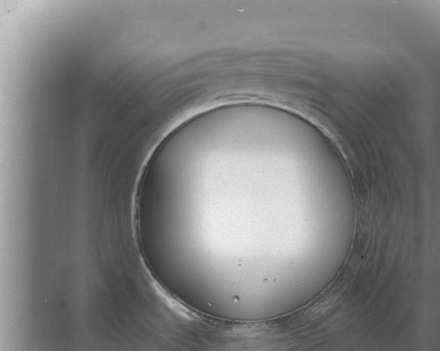 X0000071771535200607150015