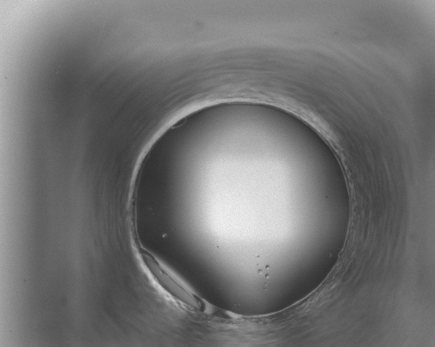 X0000071771536200607150015