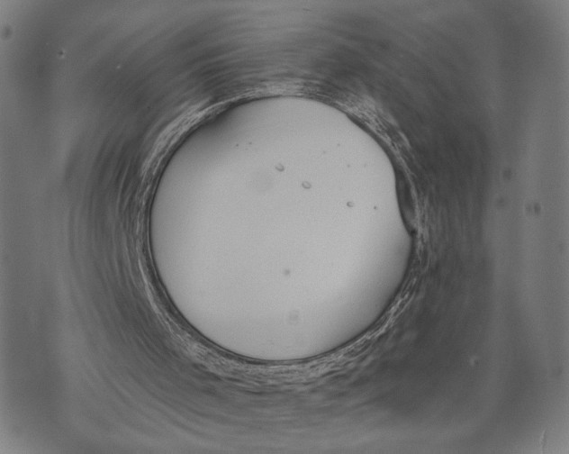 X0000071770001200607211543