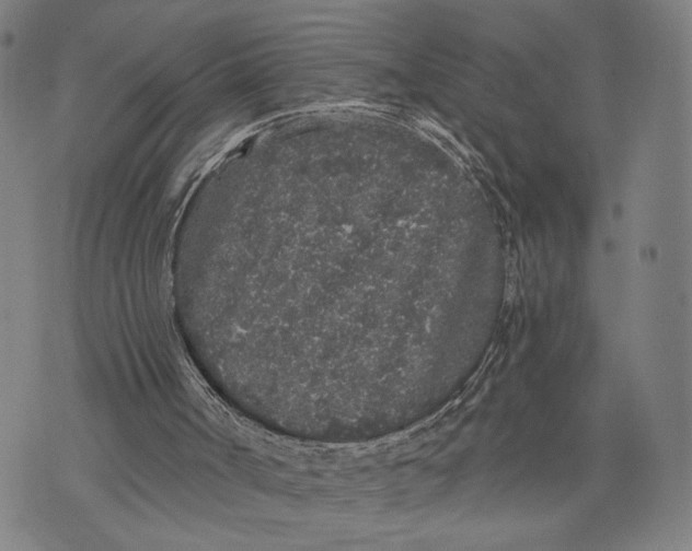 X0000071770002200607211543