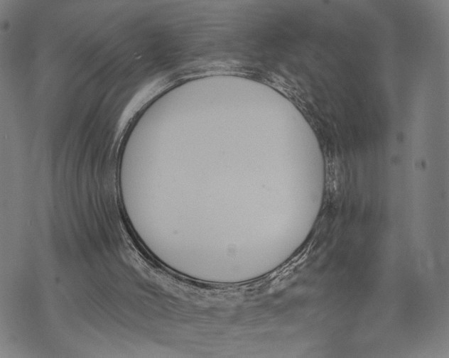 X0000071770004200607211543