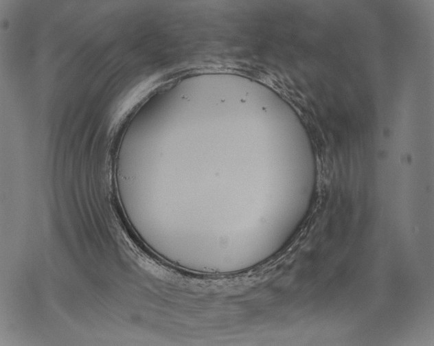 X0000071770005200607211543