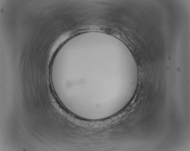 X0000071770006200607211543