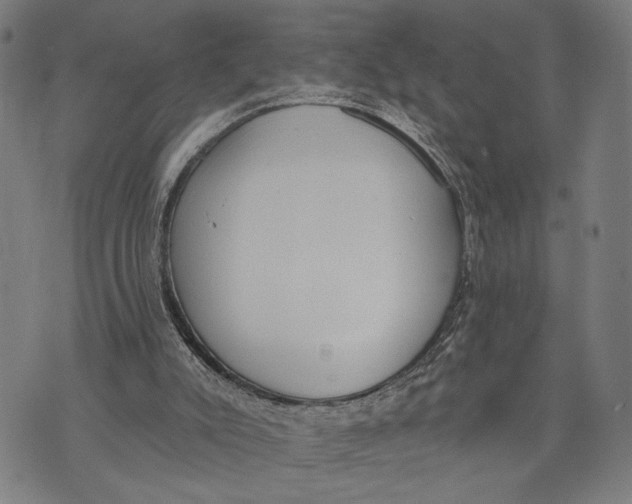 X0000071770007200607211543