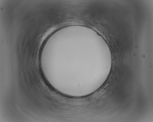 X0000071770008200607211543