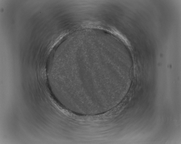 X0000071770009200607211543