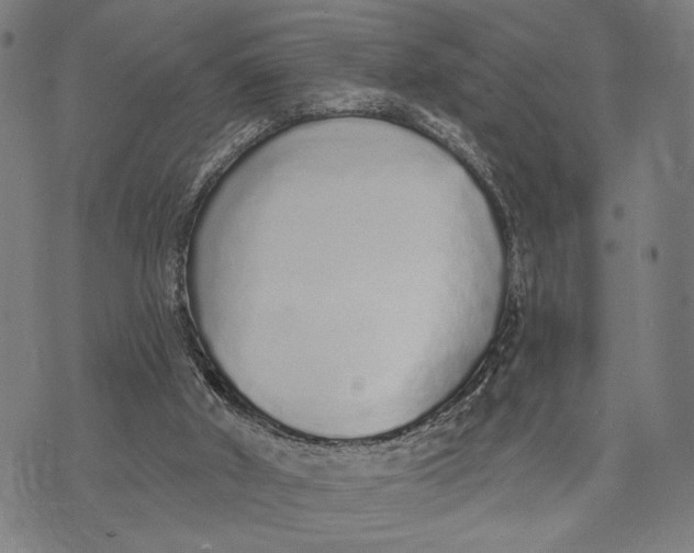 X0000071770010200607211543