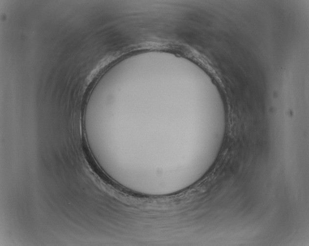 X0000071770011200607211543