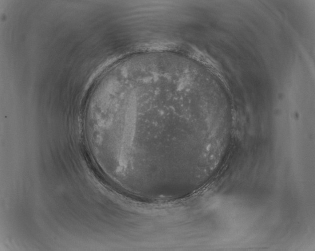 X0000071770012200607211543