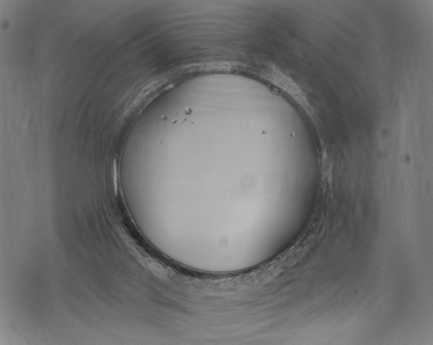 X0000071770013200607211543