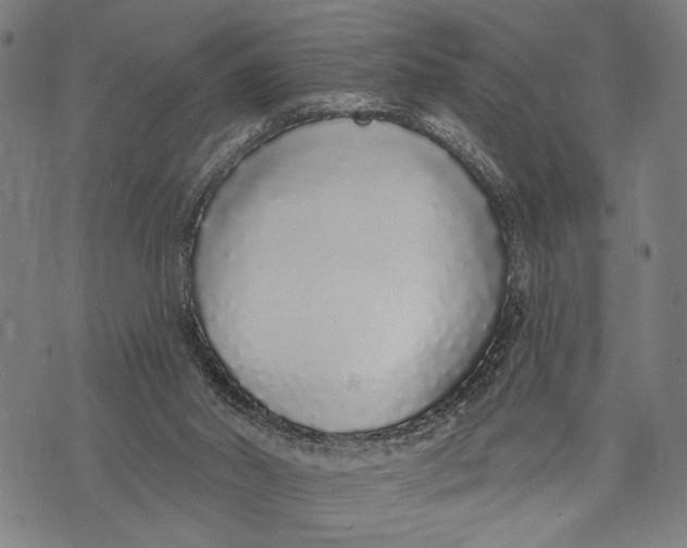 X0000071770014200607211543