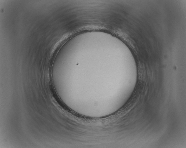 X0000071770015200607211543