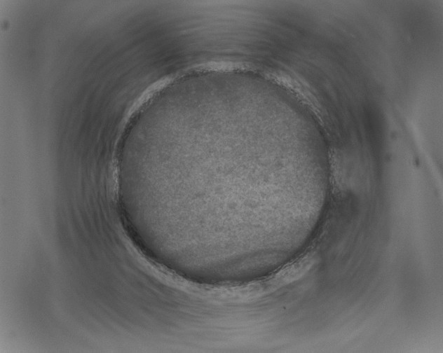 X0000071770016200607211543