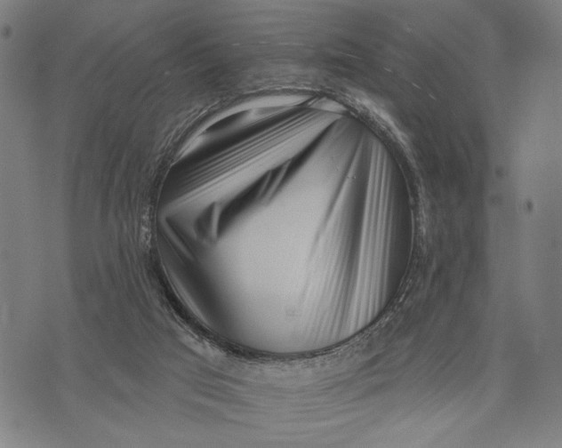 X0000071770017200607211543