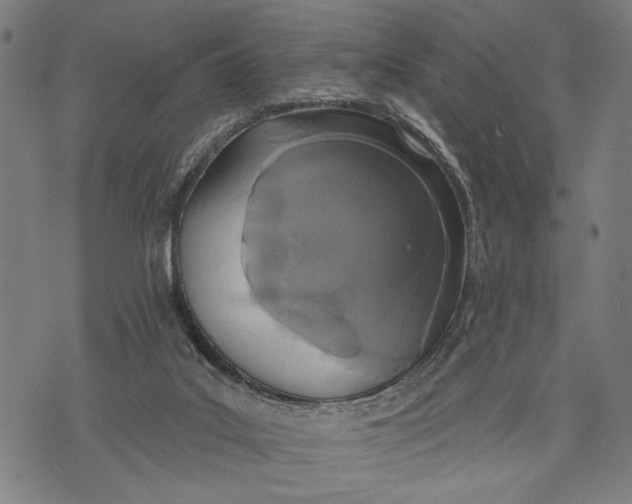 X0000071770019200607211543