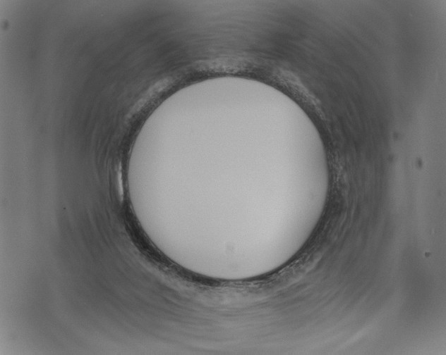 X0000071770020200607211543