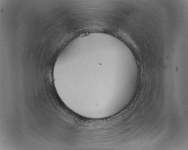 X0000071770021200607211543