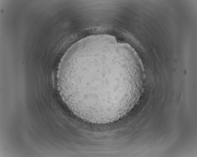 X0000071770022200607211543