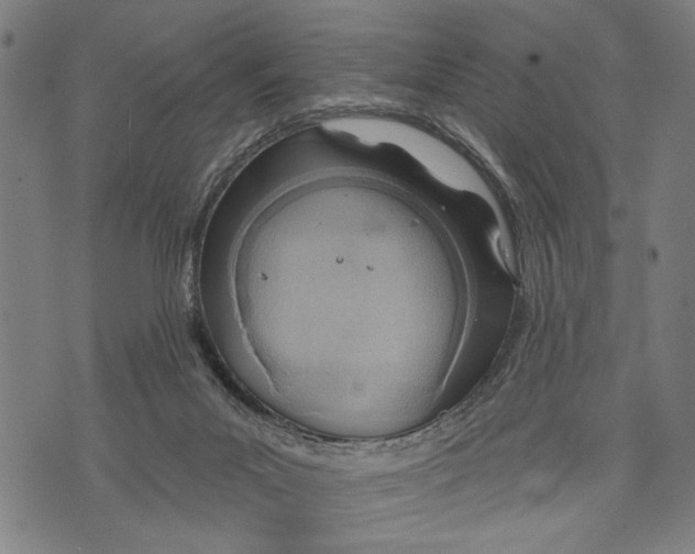 X0000071770023200607211543