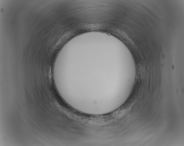 X0000071770024200607211543