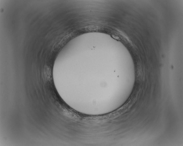 X0000071770025200607211543