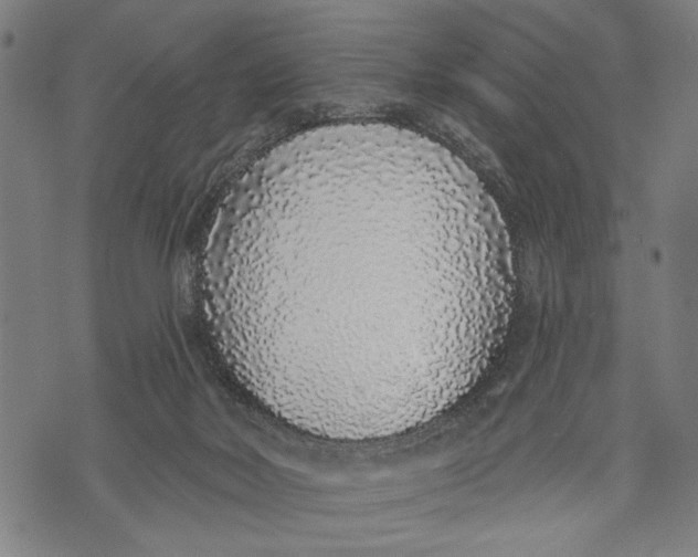 X0000071770026200607211543