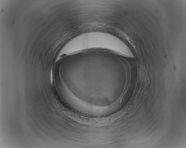 X0000071770027200607211543