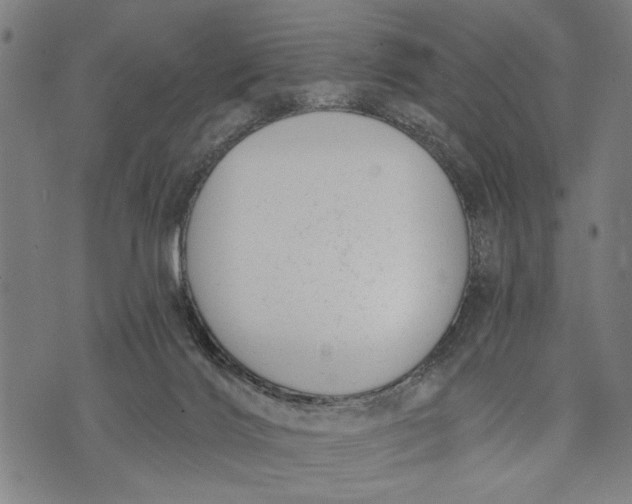 X0000071770028200607211543