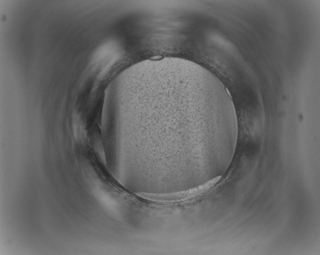 X0000071770029200607211543