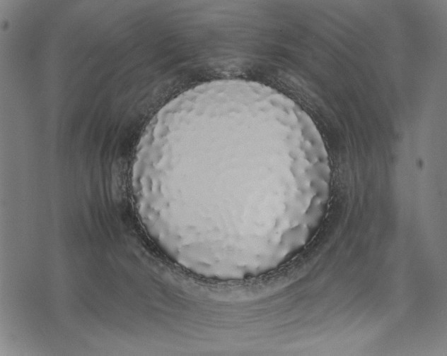 X0000071770030200607211543